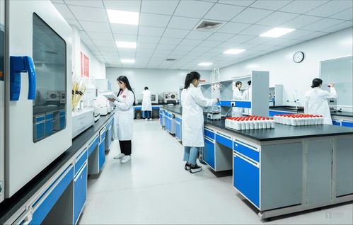 白酒科技賦能微生物服務(wù) 茅臺(tái)鎮(zhèn)國(guó)臺(tái)酒的現(xiàn)代化啟示