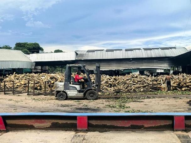 木頭云搭建產業互聯網，打造產業鏈高效協同新范式——互聯網數據服務賦能木材行業變革